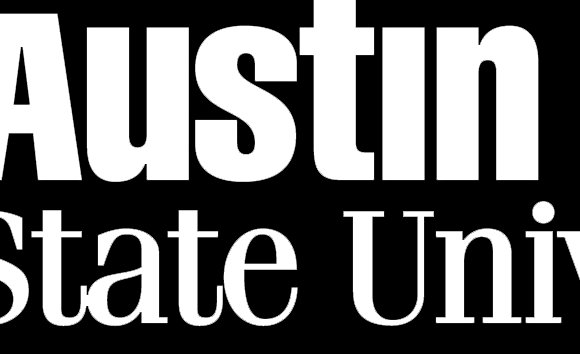 TTU Wordmark White