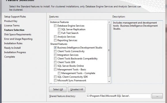 Running the main SQL Server