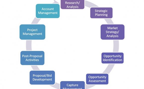 What is Business Development Management?