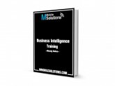 Business Intelligence Developer Jobs