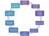 What is Business Development Management?