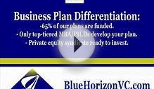 Business Plan Development from Bluehorizonvc.com