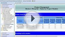 SAP Solution Manager Dashboard in BusinessObjects Xcelsius