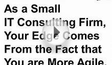 What Type of Consulting Business Model Should You Adopt